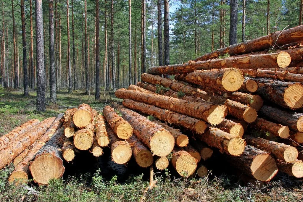 Timber Moulding Materials