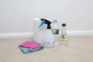 A sponge, a cloth, a bottle of vinegar, a spray bottle and a bottle of water