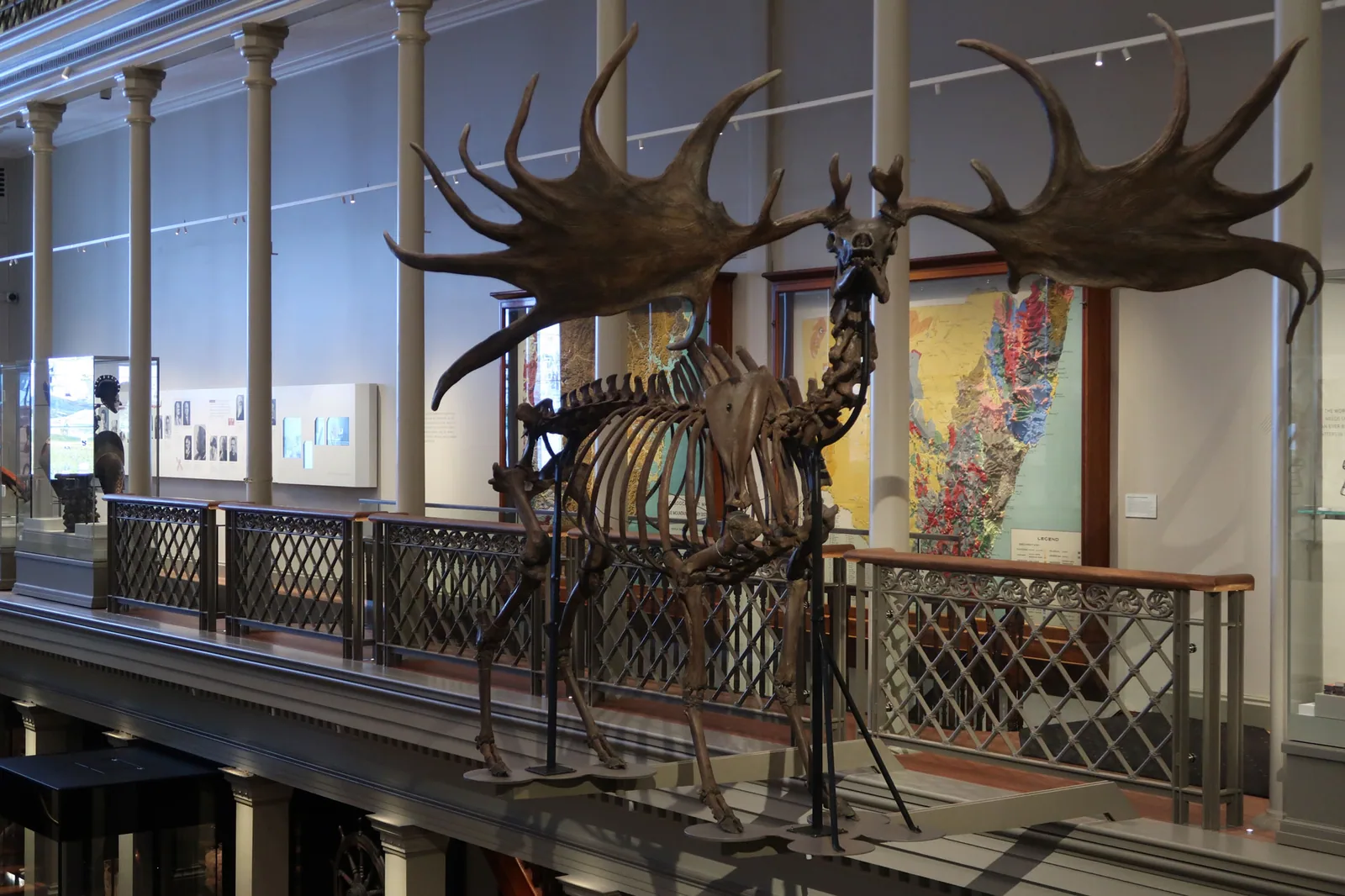 Australian Museum Handrail
