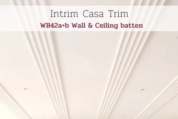 Intrim launches New Casa Trim WB42A and WB42B Wall/Ceiling Batten