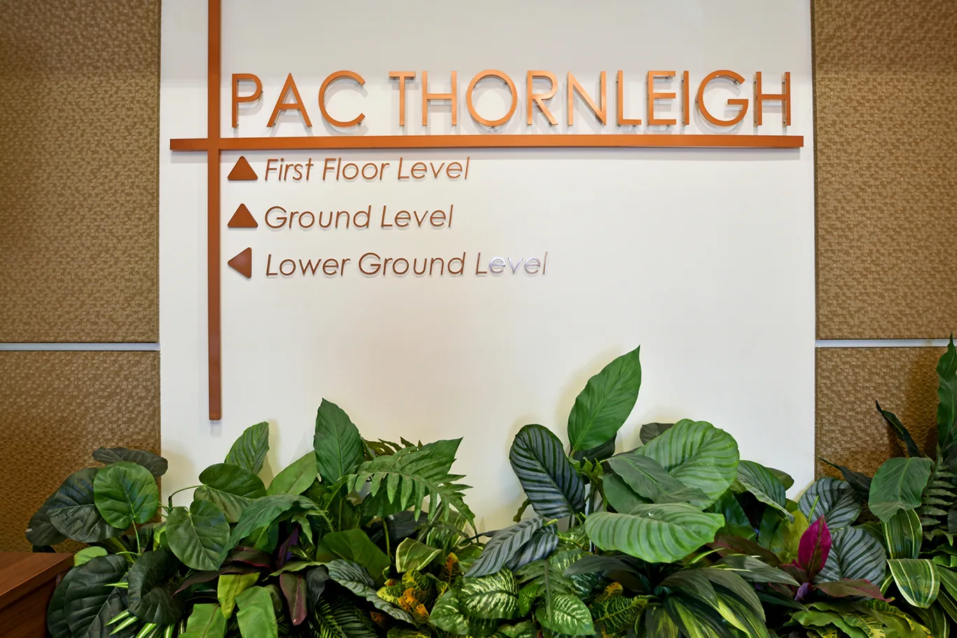 PAC Thornleigh