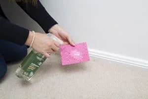 A woman's hand spraying a sponge