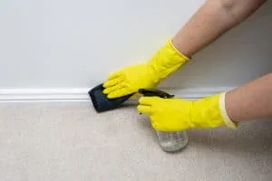 Hands in yellow disposable gloves wiping skirting boards with an acidic cleaning liquid in a spray bottle