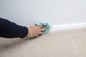 A woman's hand wiping skirting boards with a blue cloth